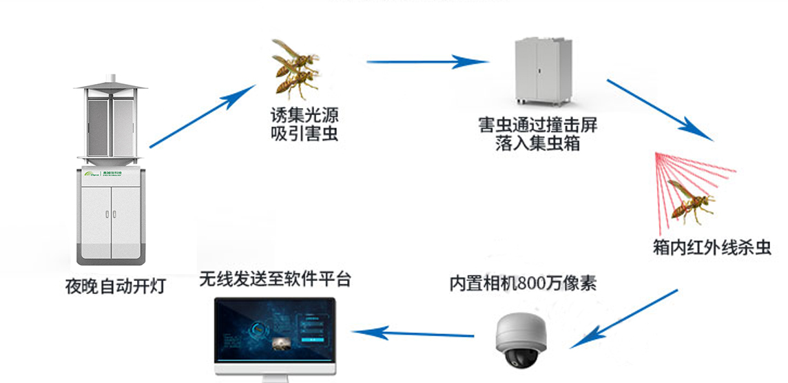 物联网虫情测报系统