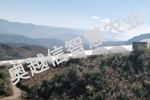 四川省凉山大箐蔬菜智慧农业生产基地