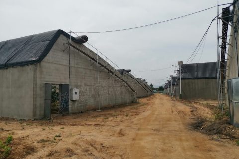 辽宁省大连市金州区登沙河樱桃种植示范基地